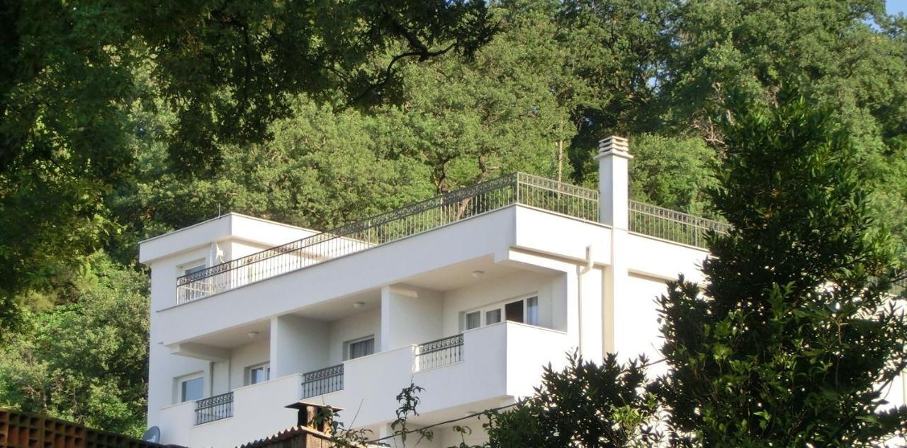 Villa Slovenika Budva Bagian luar foto